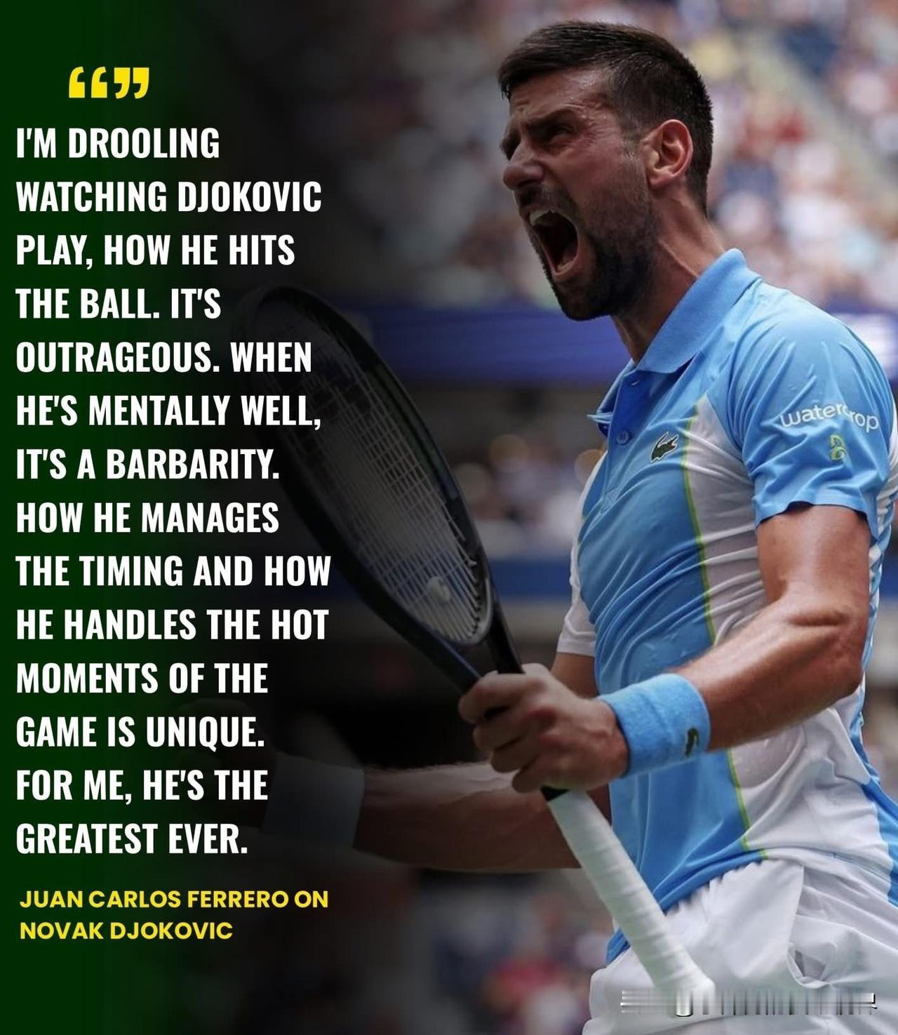 胡安·卡洛斯·费雷罗对德约科维奇赞叹不已胡安·卡洛斯·费雷罗在谈到诺瓦克·德