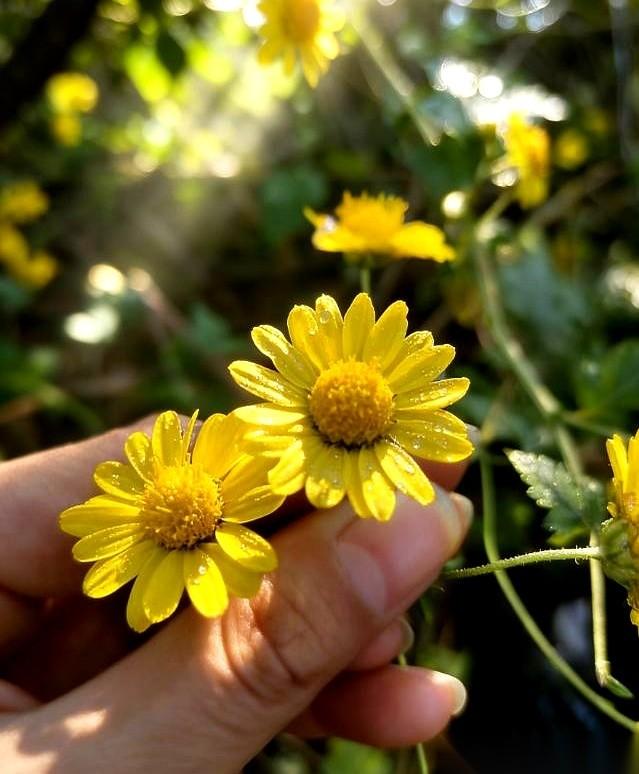 别再扯什么穷人太多了。真正让人绝望的，从来不是口袋里没钱，而是抬头看不见路。