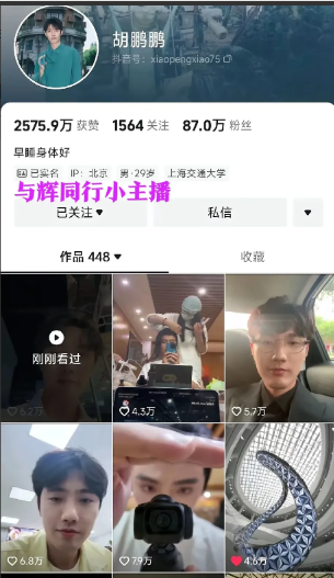 鹏鹏从与辉同行离职了吗？签名都改了。这几天大家注意到鹏鹏的签名由“与辉同行小主