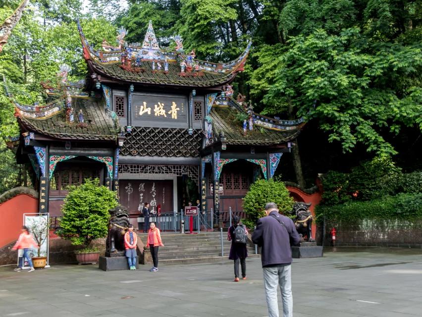青城山还是前山后山都去看看吧！青城山是儿子早就想去的地方。我们从都江堰住的酒