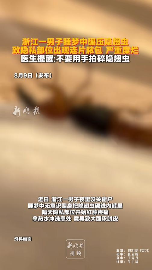 “太惨了！”8月9日报道，浙江，一男子晚上睡觉的时候忘记了关窗户，一只隐翅虫飞了