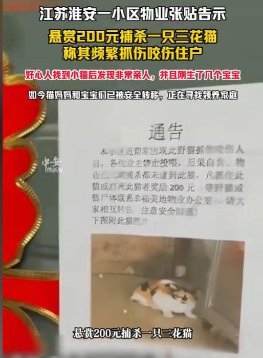 “最毒是人心！”6月26日，江苏淮安，一小区物业发出了追杀令，悬赏200杀一只流