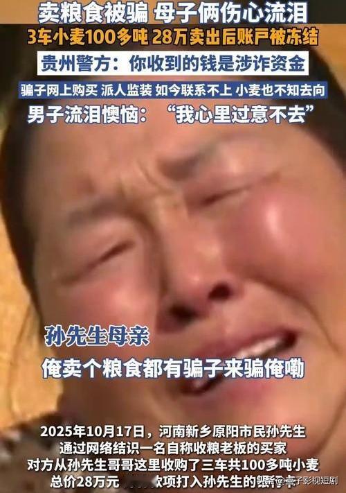 河南新乡孙先生通过网络结识买家,出售三车小麦获28万元,款项打入其银行卡。他分转