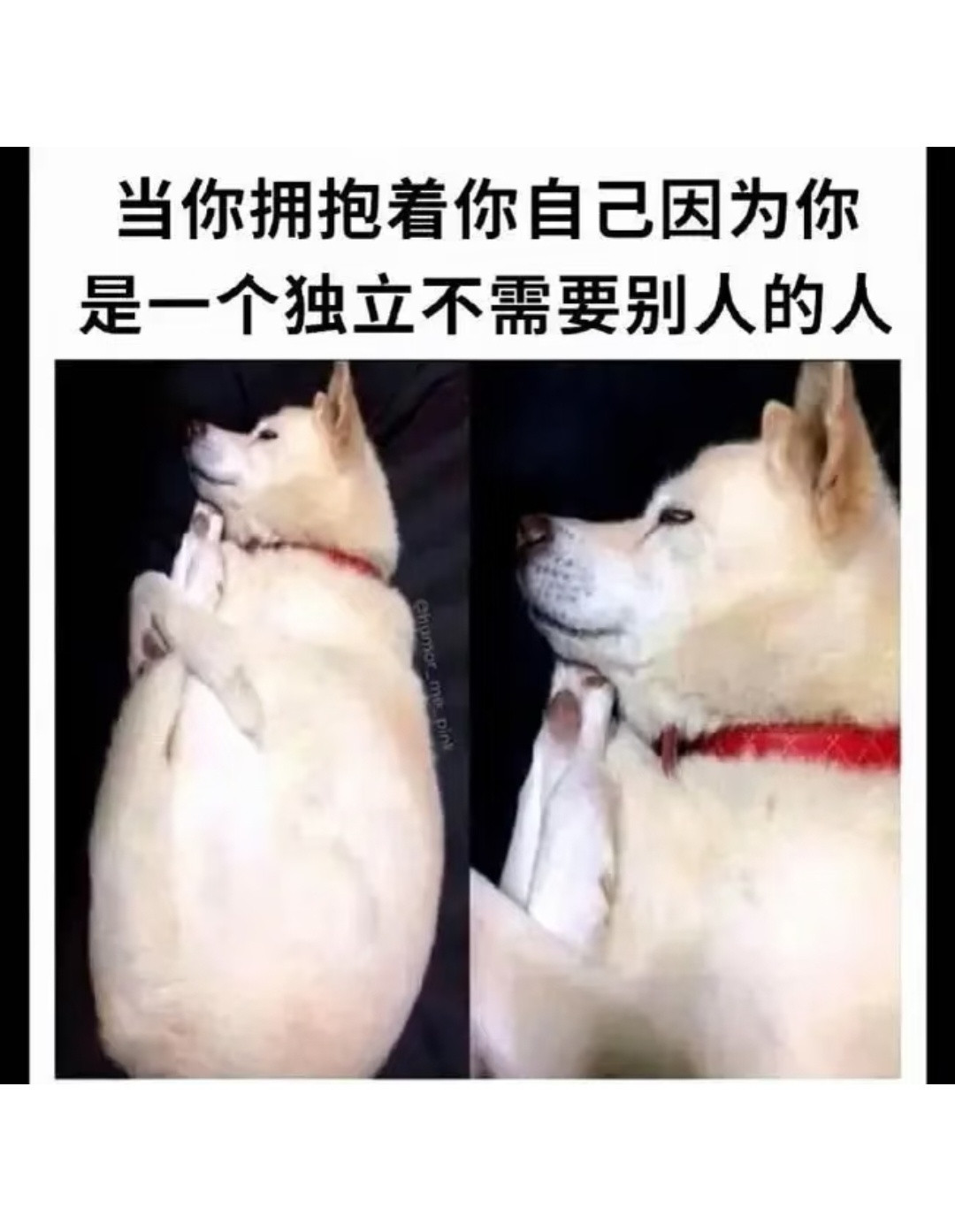 一些梗图分享