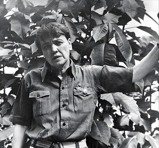 1950年5月，美国女记者史沫特莱因胃癌在伦敦病逝。在弥留之际，史沫特莱交代律
