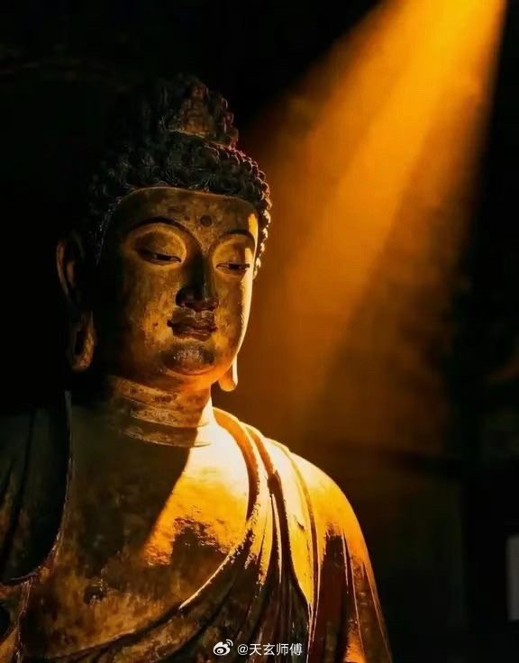 分享一个增加福报的小方法平时出去玩的时候，经常在包里放一点小米或者面包，看到一些