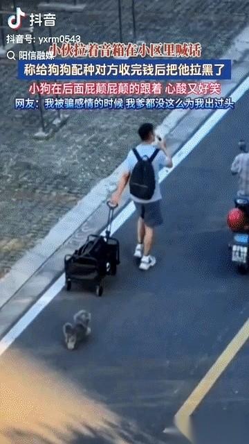 800块钱，刚转过去，人没了。江苏一个小区里，俩邻居约好给狗配种。钱是小伙爽快