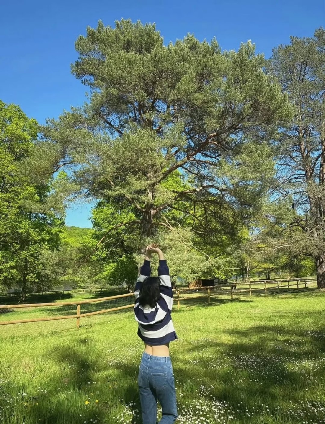 宋慧乔好健康的竖脊肌宋慧乔腰线宋慧乔状态好好，这腰线绝了呀