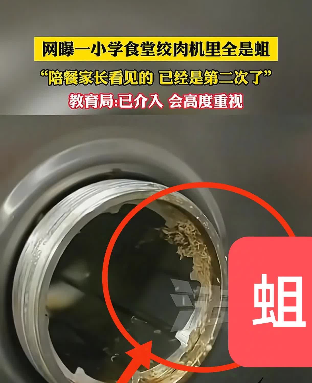 刷到浙江学校食堂有蛆，作为曾经卖肉的老板，我得说两句。我们之前帮客户