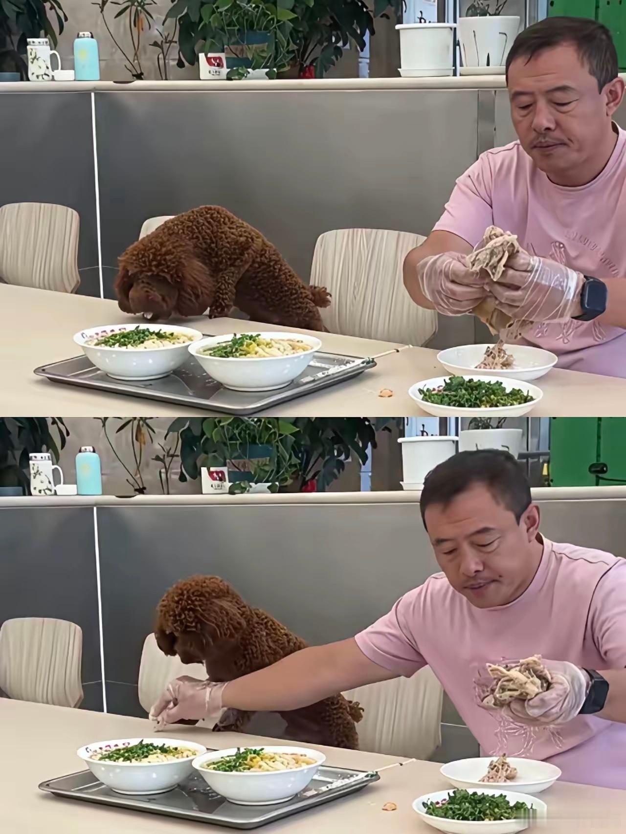 沈阳老四季面馆的老板，窝窝囊囊地得罪了全国人。真是又怂又勇，说他胆子大吧，他不敢