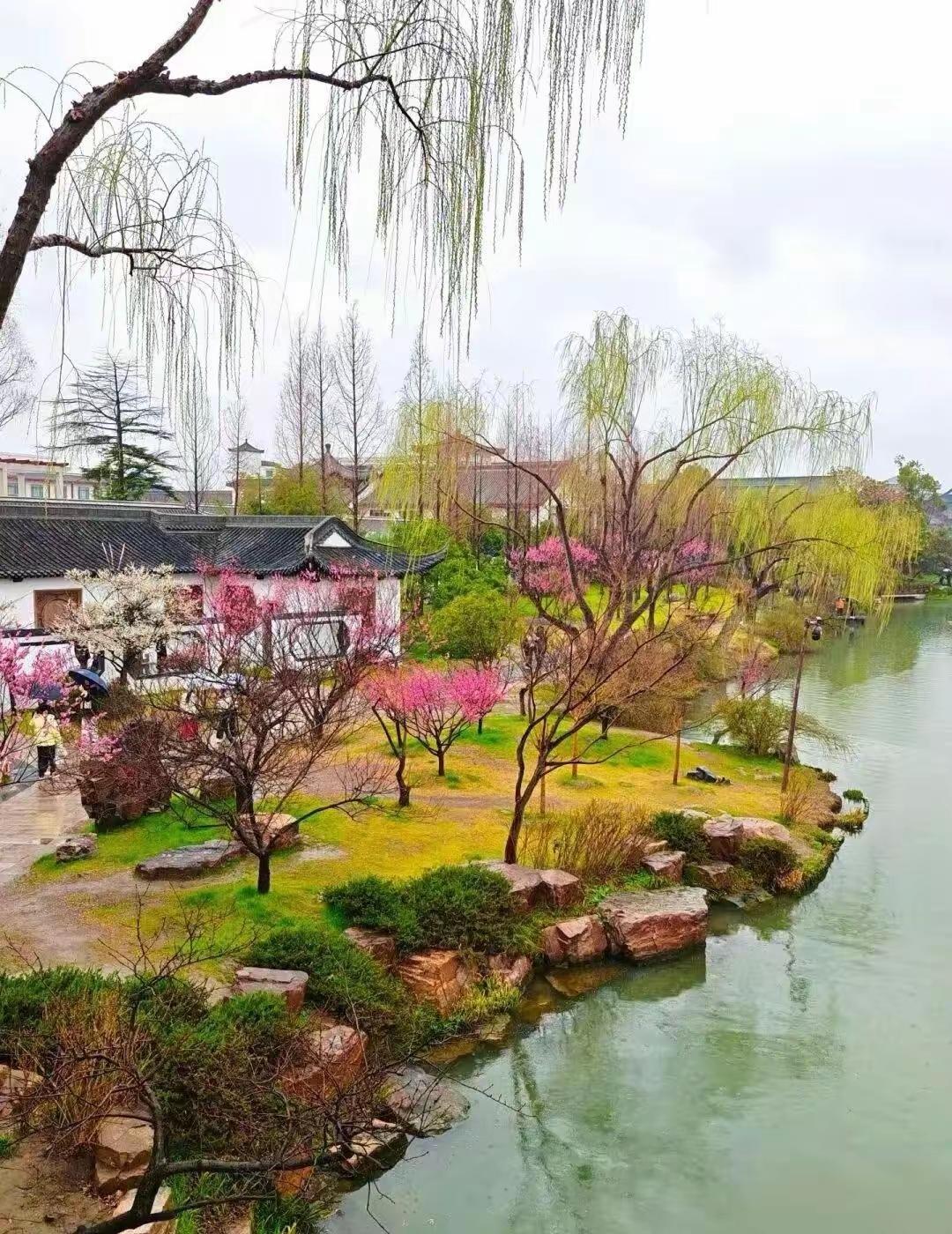 走出生活默认模式的怪圈很多人一辈子，都活在生活的默认模式里：别人怎么活