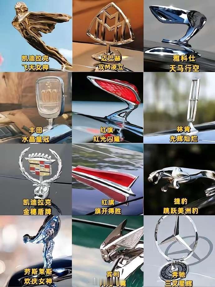 哪个好看不好评，但是丰田这个立标真的好丑