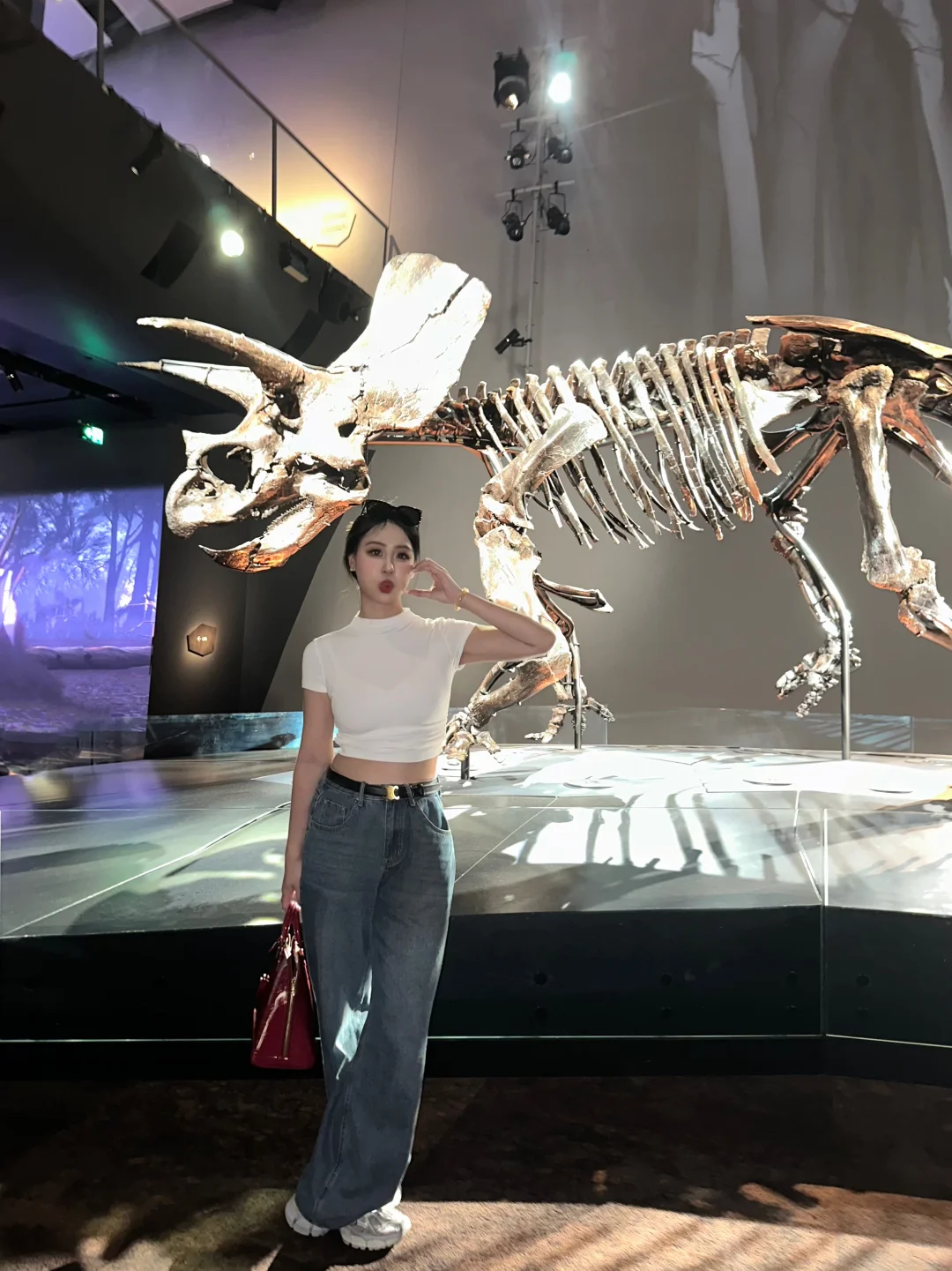 墨尔本博物馆恐龙🦕