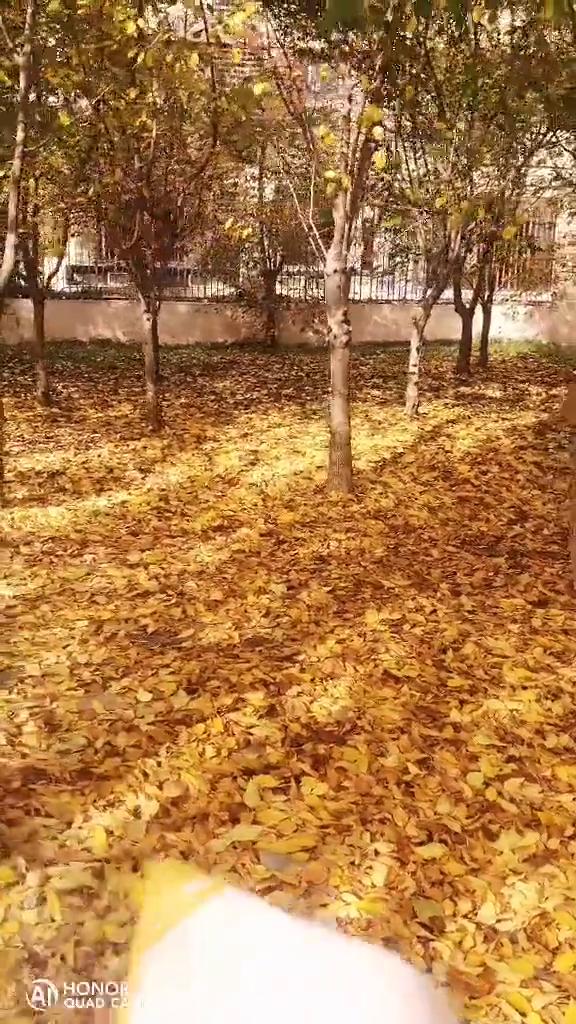 对面小雪，郫县打卡金毛刀。