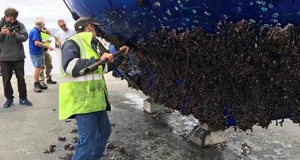 航母才是最大捕鱼船？一位渔民告诉我：辽宁舰每次带回数十吨海鲜，一口不吃，也不卖，