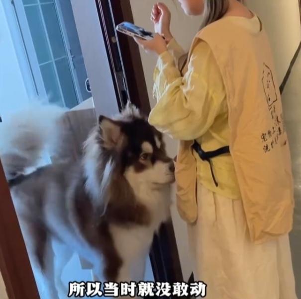 贵州一女子在进行上门代喂宠物服务时，被100斤的阿拉斯加犬咬伤，狗主人拒绝负责，