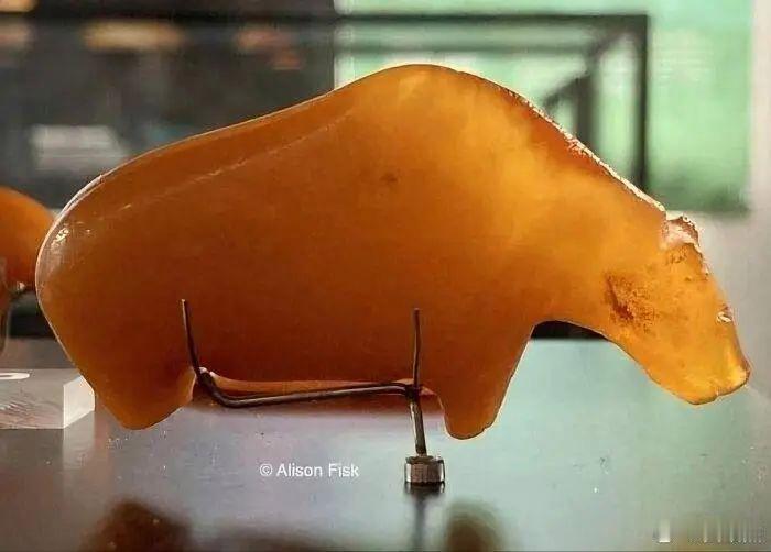 这是牛还是熊？​​​