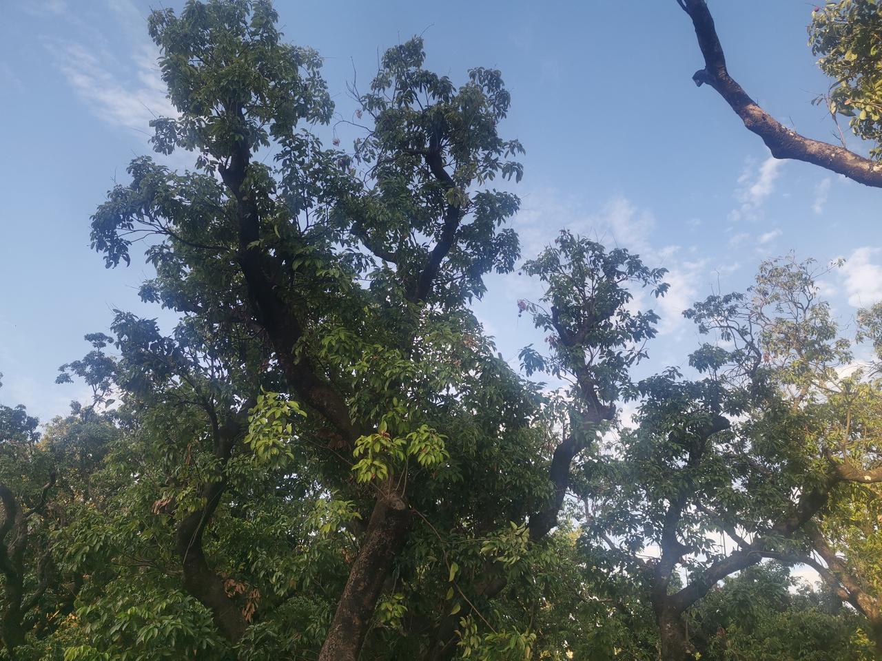 老师能笑到最后的无非就这两件事：1.能领到20年以上的退休工资。作为体制内人