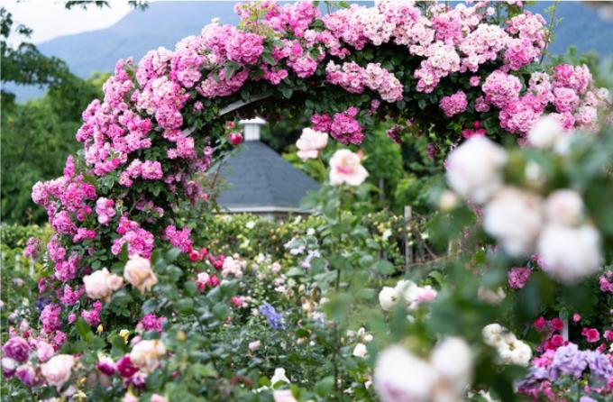 能保存十年以上的八大食物： 1、蜂蜜（honey）不过期。2、食盐（sal