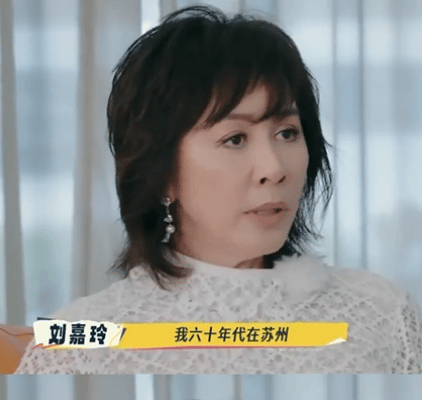 其实一个谎言能圆到这个程度一定意义上来说刘嘉玲她确实是不想生而不是生不了