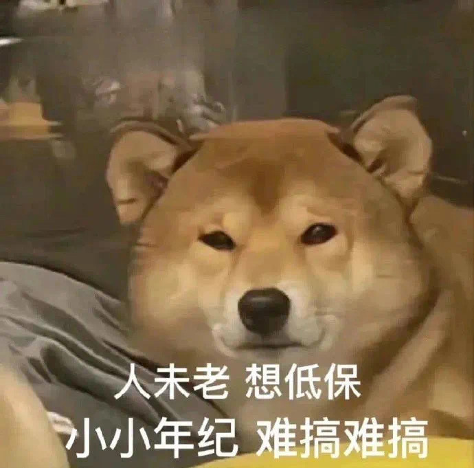 Share表情包确定不更新一下吗​​​