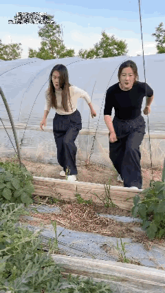 虽然偷瓜是不对的，但是这惩罚是不是也忒重了点！[捂脸哭][捂脸哭][捂脸哭][捂脸哭][
