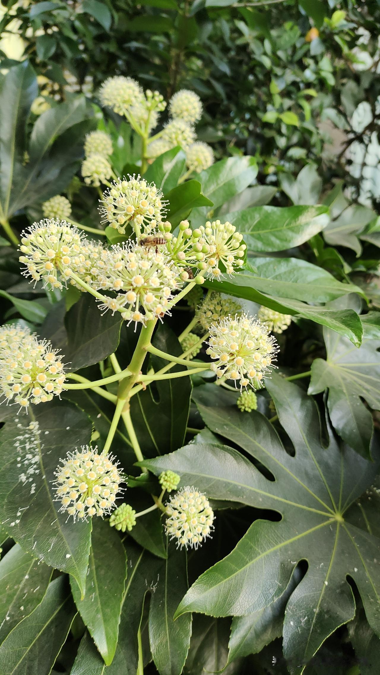 退休避坑指南4件事碰了必后悔安稳养老全靠它退休后想安稳度日？4件事碰了