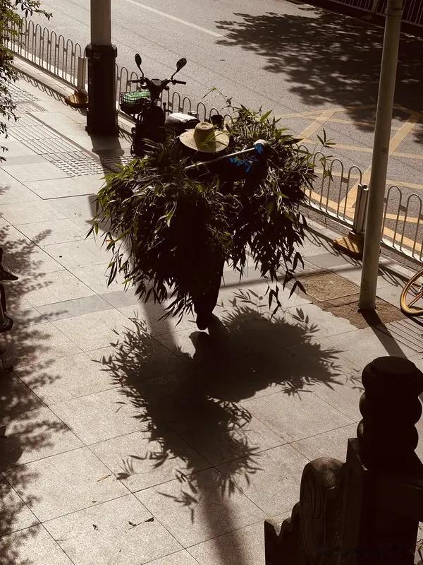 水瓶座最大的缺点是什么?都说水瓶座神秘又独特，可这独特劲儿里也藏着缺点。水瓶座