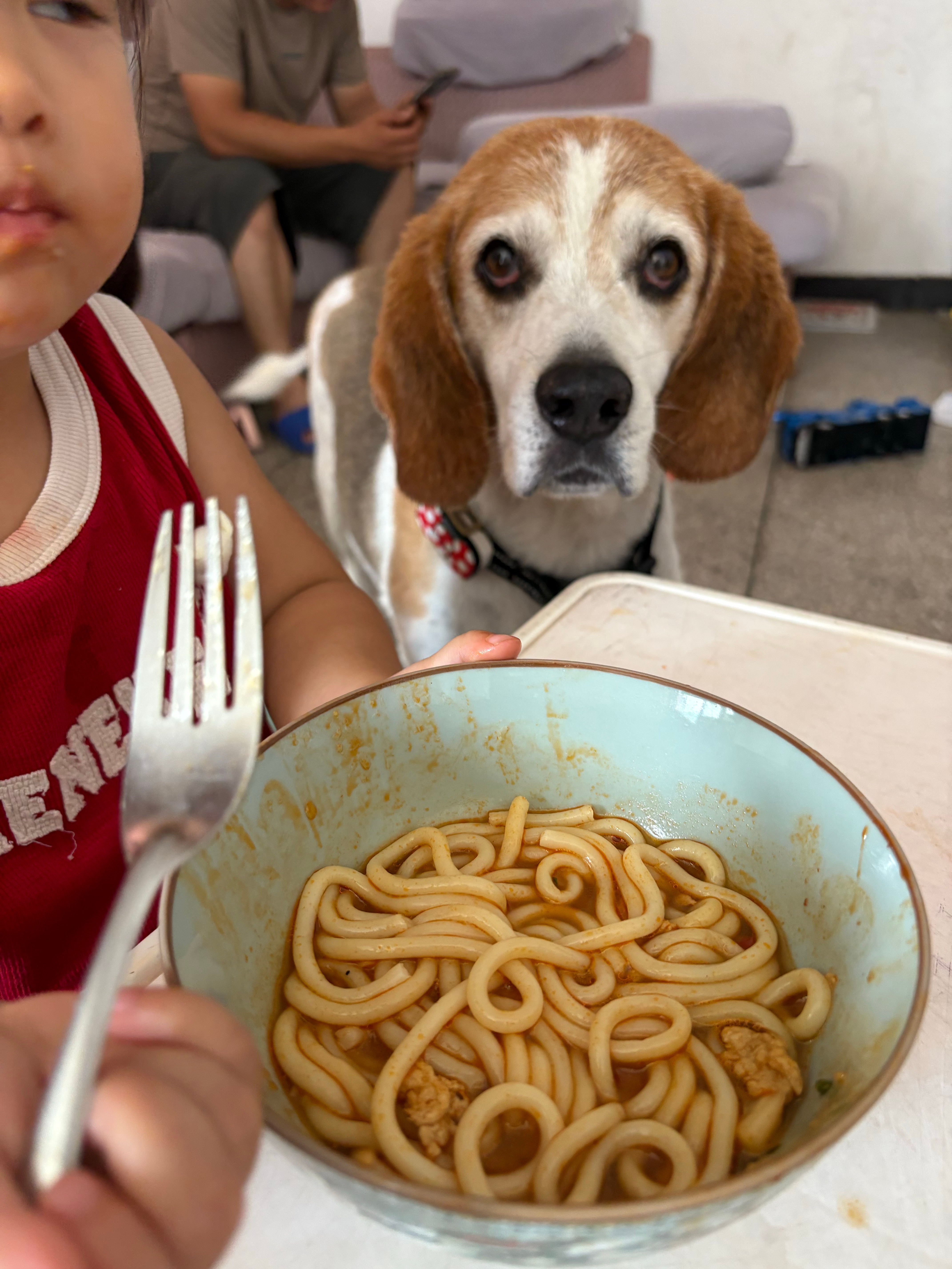 到家没两分钟狗不见了我：快去找钱钱，肯定去大哥家吃饭了！👨：对他没有一点信任吗