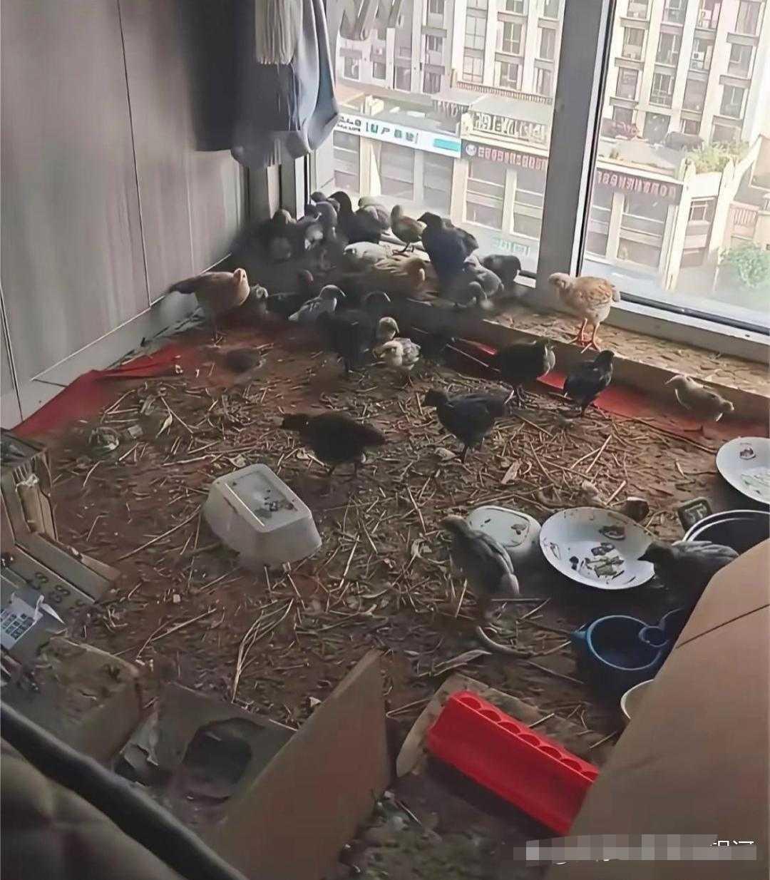 乡下的丈母娘住我家半年，一间小卧室就变成这样了