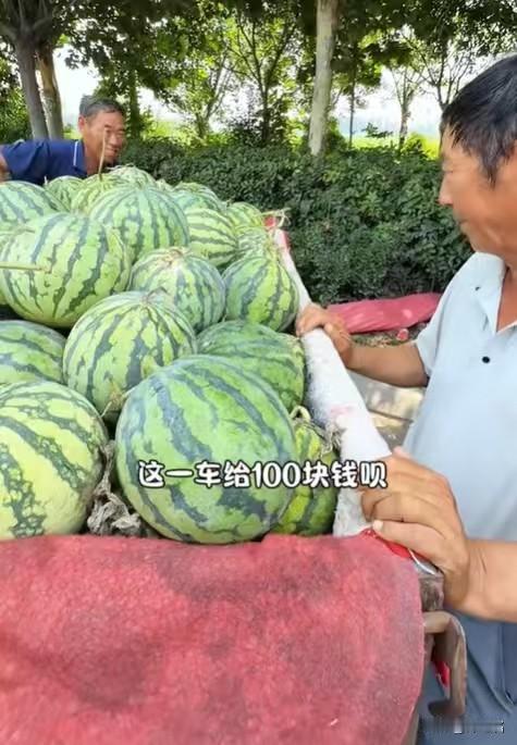 你问他这一季能挣多少，他闷头掰开一个瓜递给你，沙甜的瓤红得像血，然后摆摆手："别