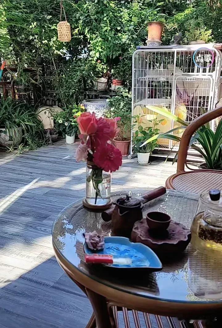 网友在直播间扣字问柴桑大姐，那个小熊如此猖狂，你为何不愤怒来个针锋相对？
