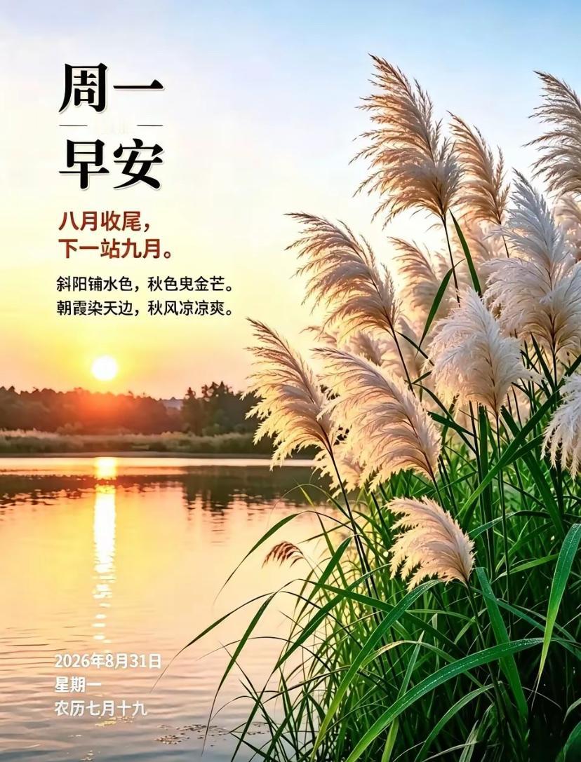 2026./8月31日，秋晨清风相慰人间，静心以待秋荻丰盈☘️?