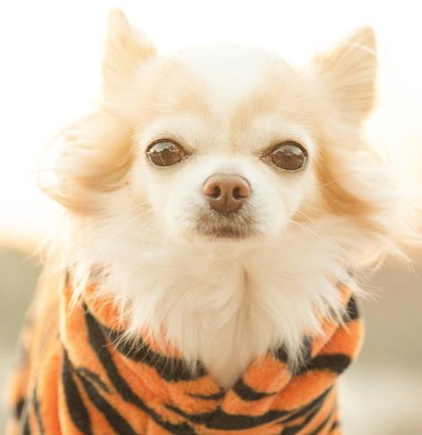 这些冷门但高薪的专业，湖北家长都不知道每年填志愿，家长眼里只有计算机、金融、医