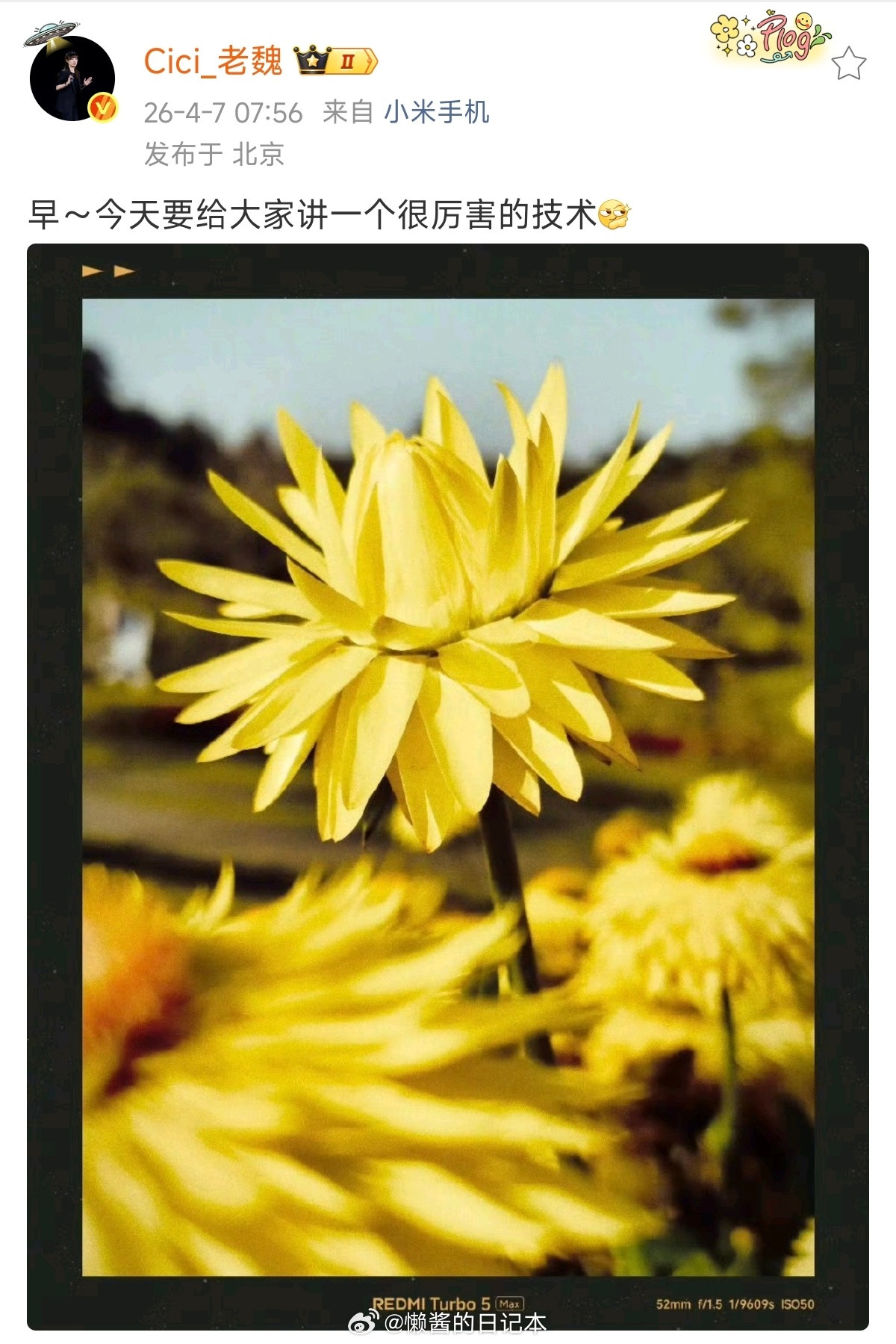 早，今天蹲一手官方预热。