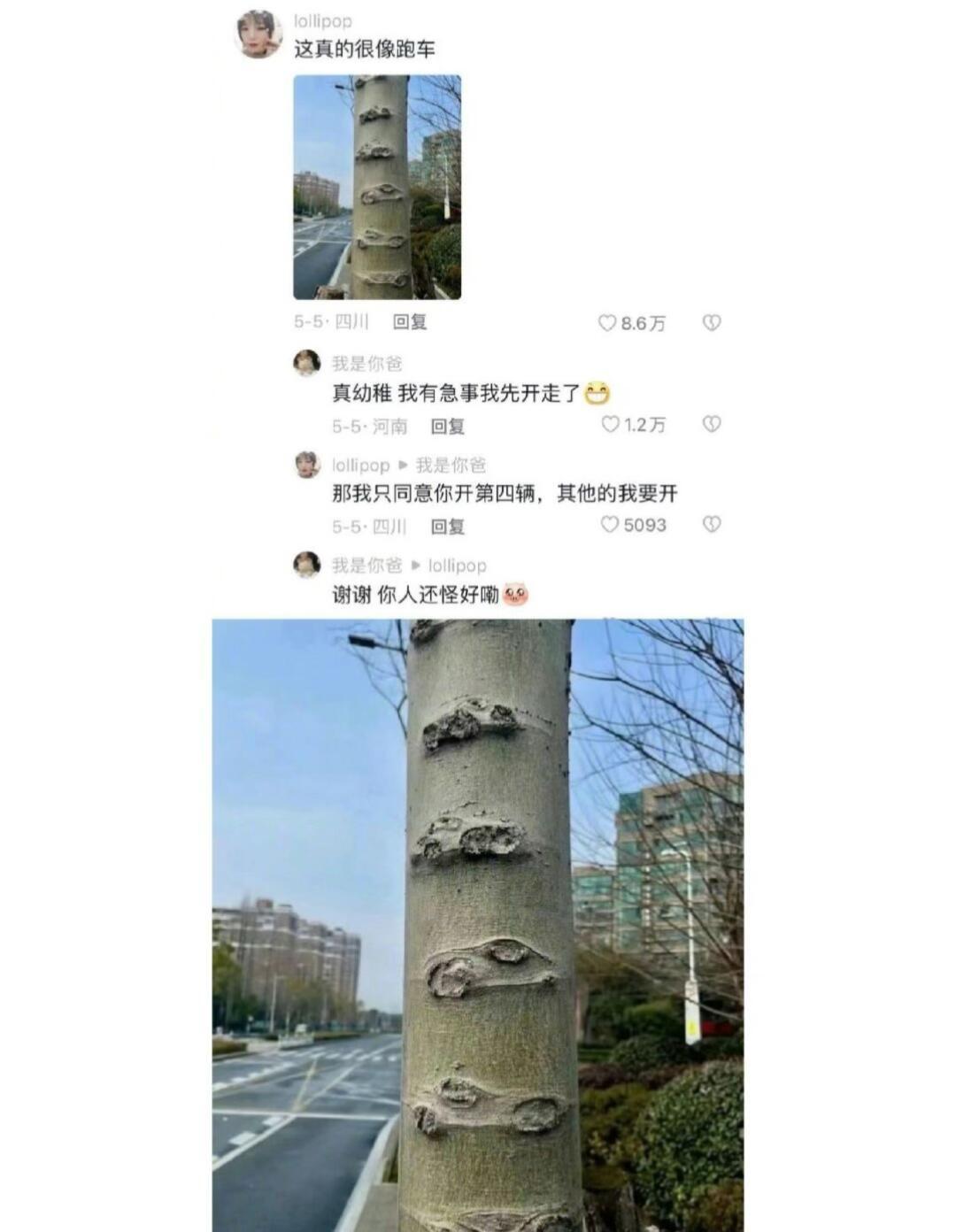 分享欲本身就是最高级的浪漫