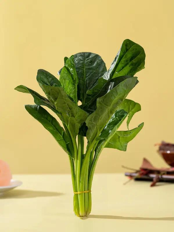 是不是所有的蔬菜都可以凉拌?并不是所有蔬菜都适合凉拌哦。有些蔬菜生吃可能存