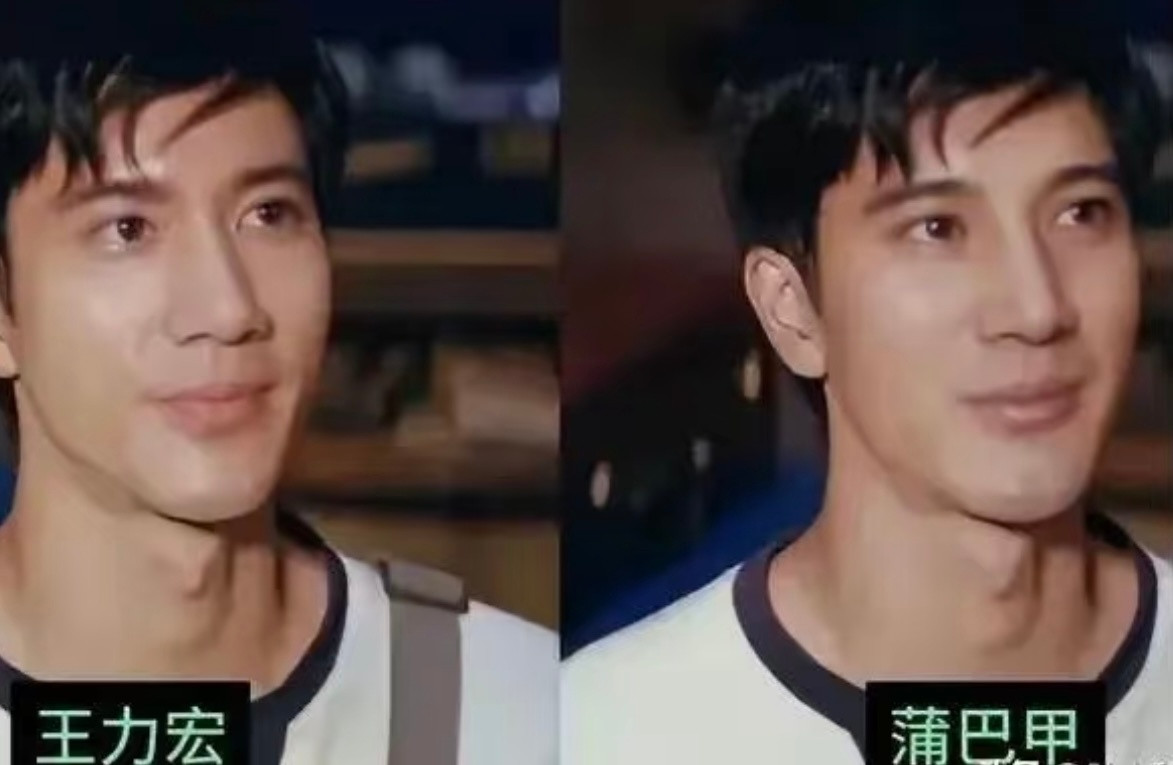 这是蒲巴甲还是王力宏一模一样的人怎么会有两个啊，蒲巴甲和王力宏傻傻分不清[dog