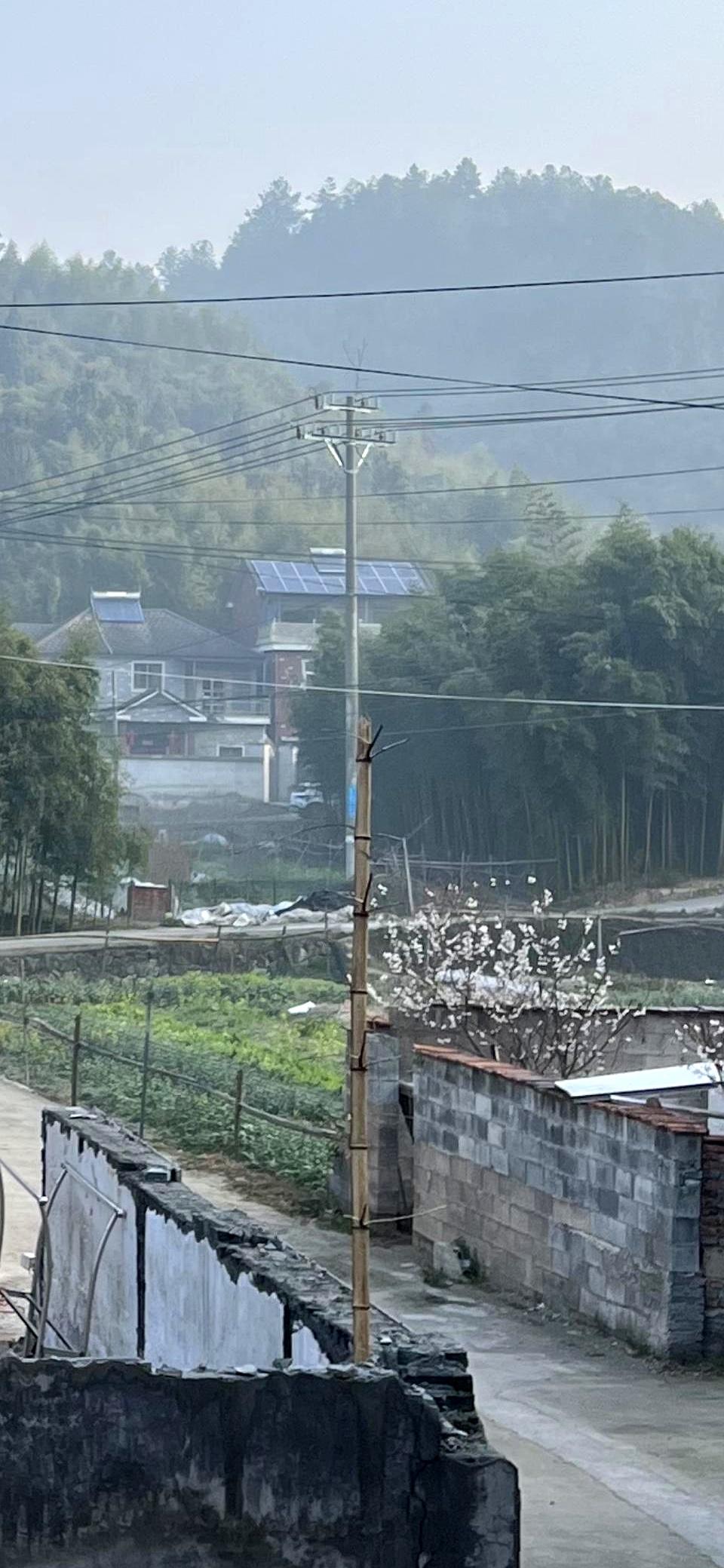 锅里刚起泡，他俩一句“出去吃”，一桌子心血立刻凉透。买菜的钱、做饭的时间，按他