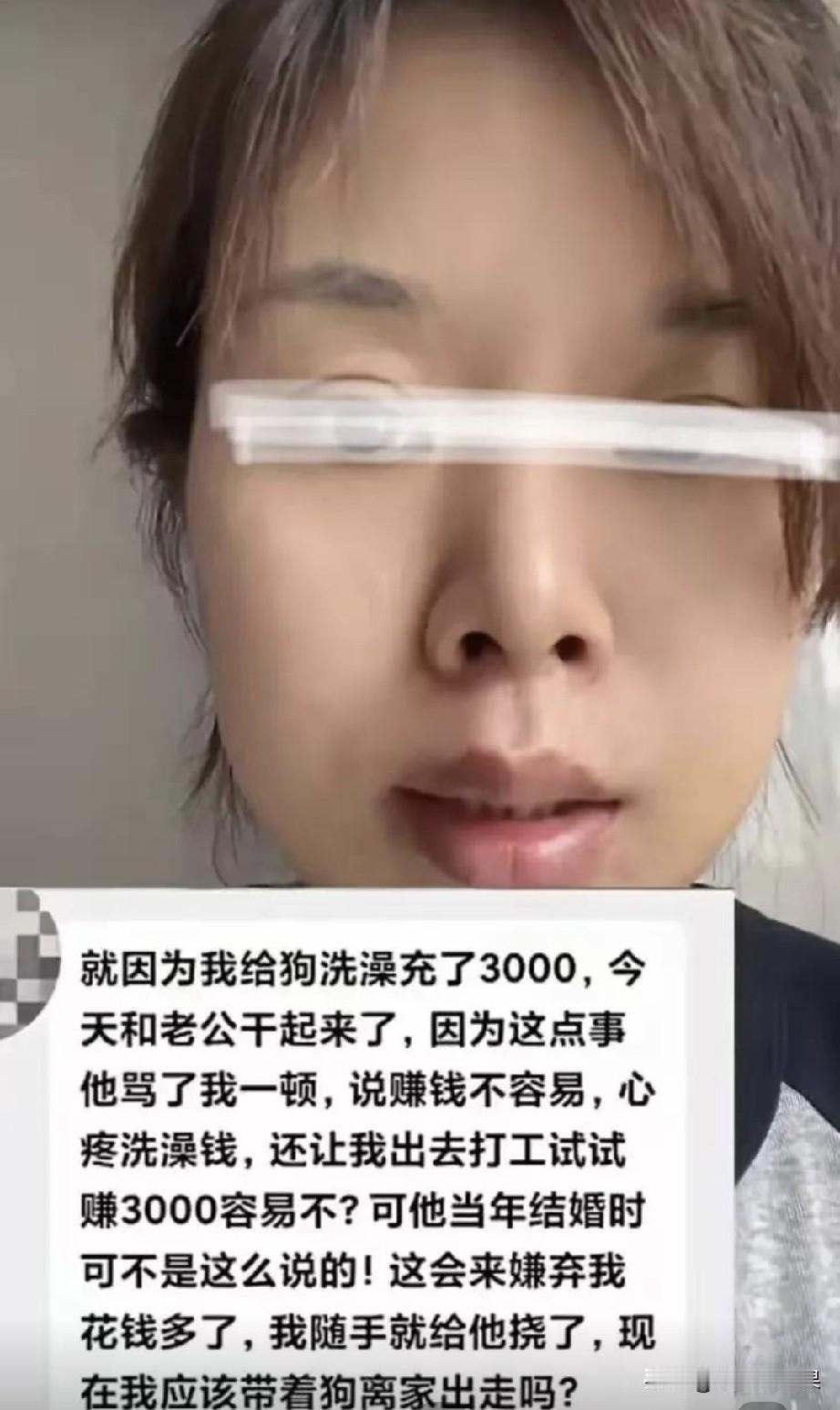 谁娶了这样的老婆，也是倒八辈子霉，爱狗狗到了她老公都接受不了她的地步了，三千块可