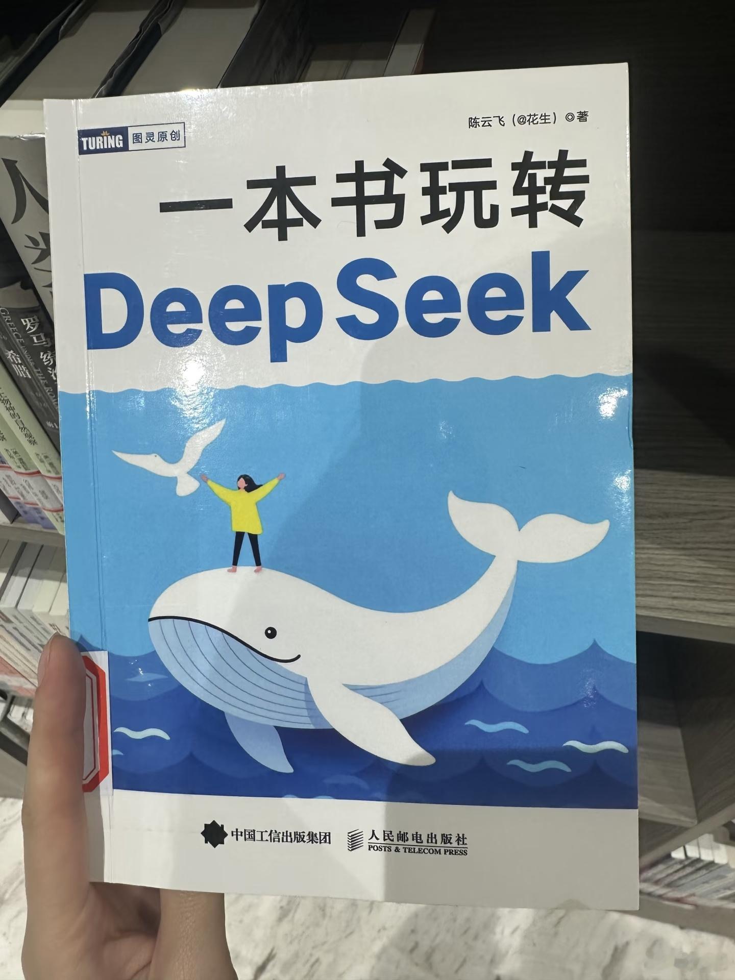什么人会买这种书？DeepSeek那不是认字就行吗？