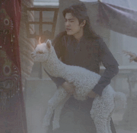 哈哈哈哈真的很幽默的画面