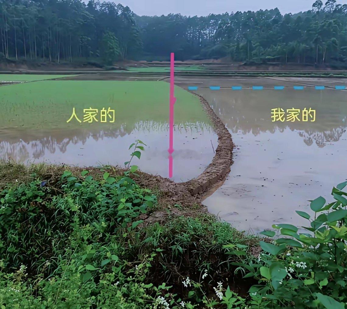 这种占“便宜”现象，在现农村多着呢。
