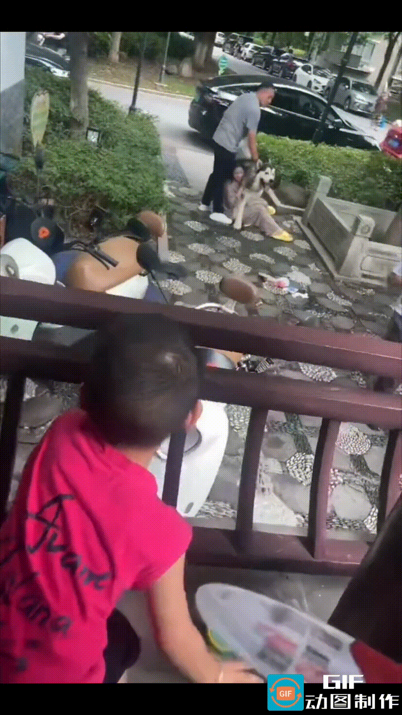 8月22日，江苏某小区，一只未拴绳的大型犬，咬伤了两名儿童，其中一名还穿着尿不湿