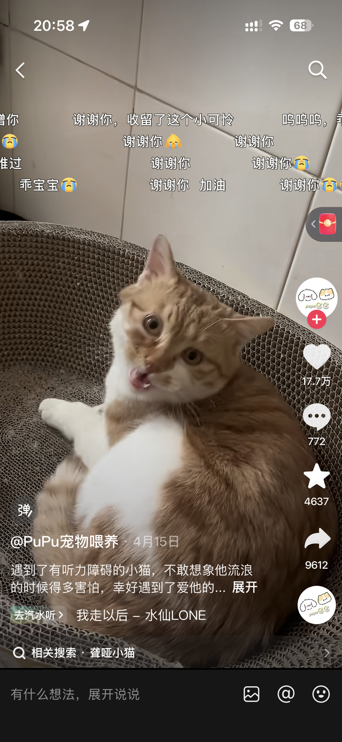 刷到这个小猫咪突然想看看梅在干嘛一打开门她就这样自己乖乖窝着我一靠近她就开