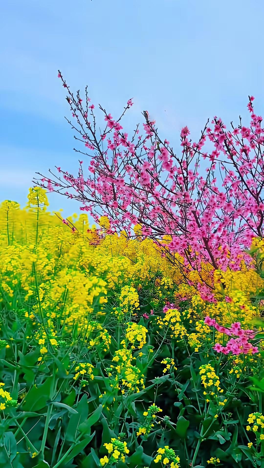 做人，一定要有心计不是为了算计别人，而是为了好好保护自己。人心复杂，世