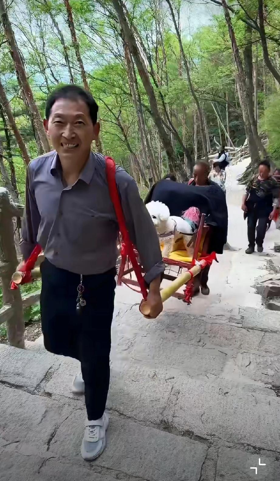 坐着轿子爬黄山的狗子，把路人羡慕坏了。。。狗拉车出游狗抬上山美女抬轿游黄山