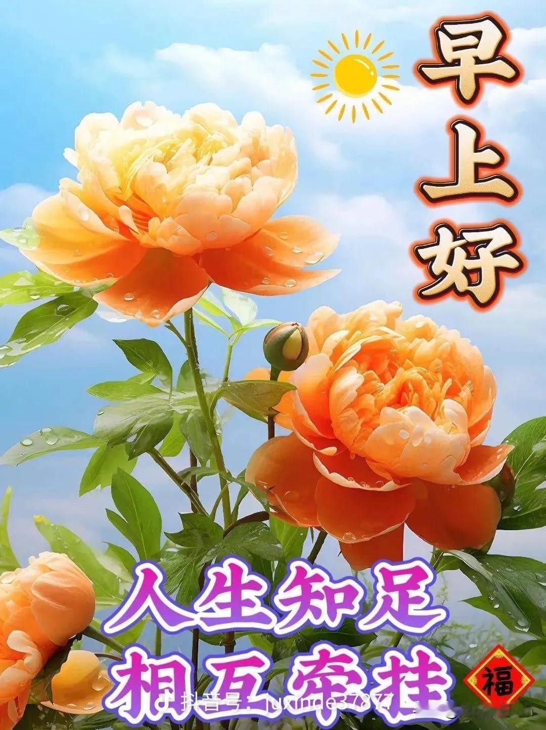 早上好我最爱的人有缘千里来问候有心天涯送祝福有爱时常在牵挂有情朝暮倾悄