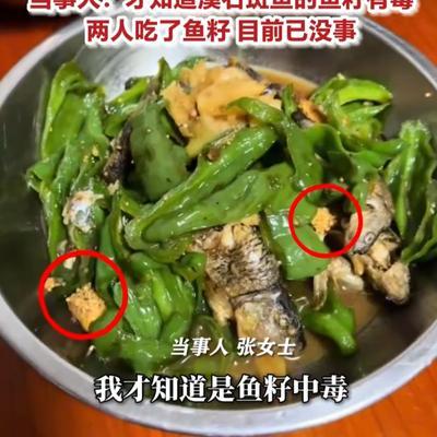 万万没想到！广西贺州，一男孩在水渠捞了几条溪石斑鱼带回家，姑姑亲手烧了给全家吃，