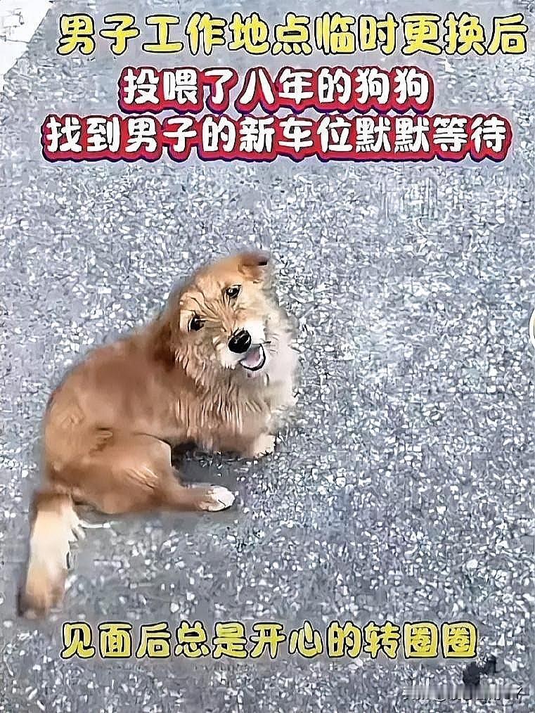 10月26日，一名男子因为工作缘故临时更换了工作地点，连带着停车的车位也随时更新